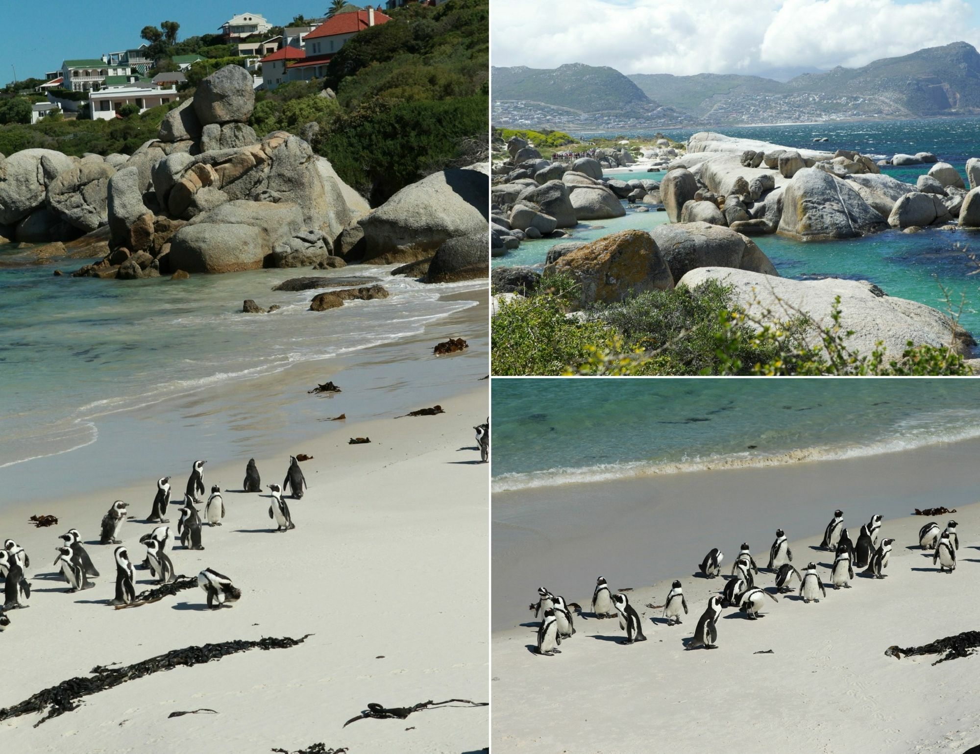 Mariner Guesthouse & Villa Simon's Town Luaran gambar