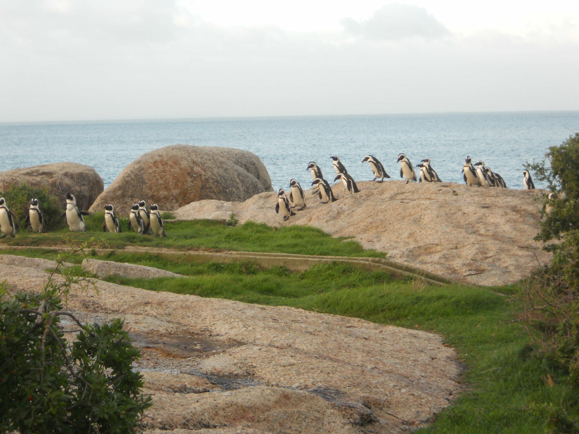 Mariner Guesthouse & Villa Simon's Town Luaran gambar